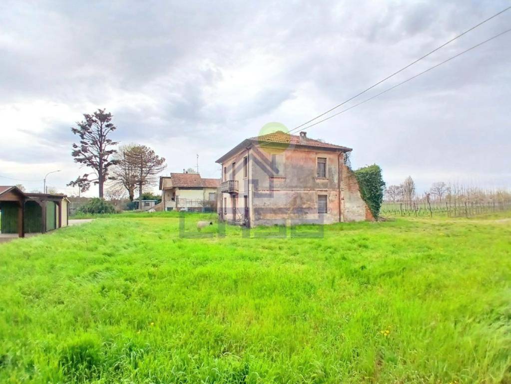 immagine annuncio 1 di 12