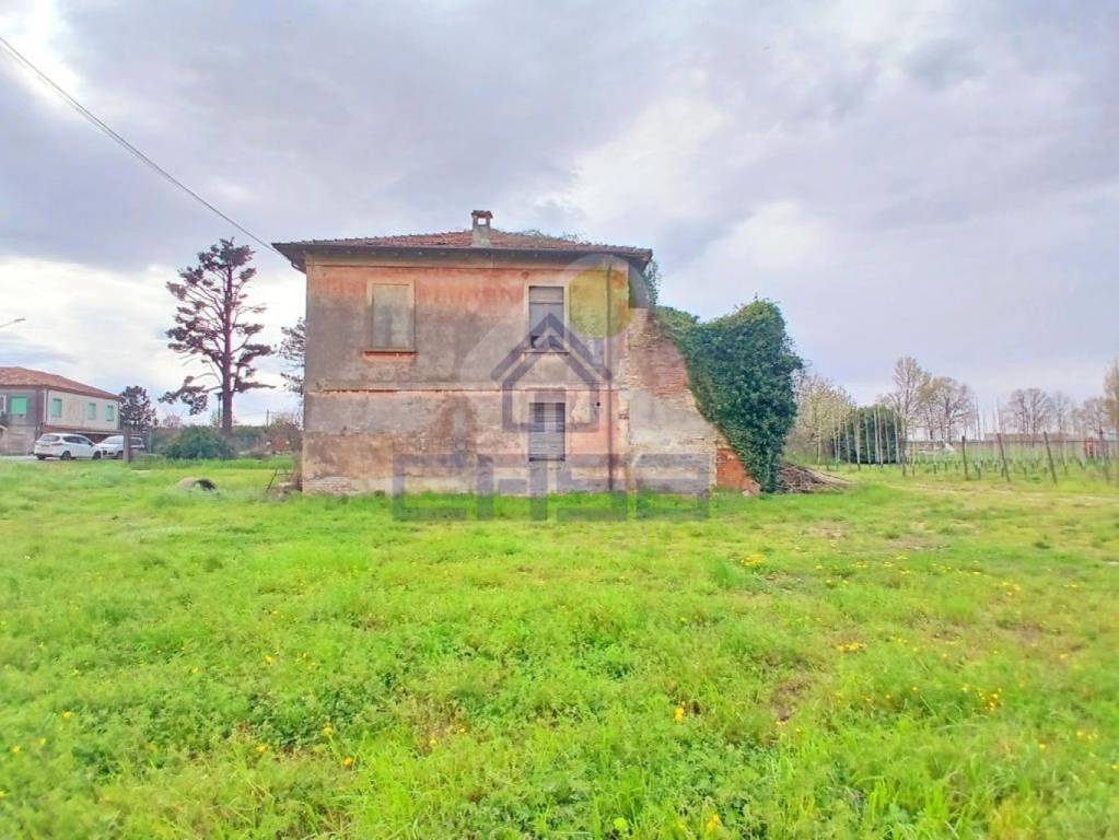 immagine annuncio 8 di 12