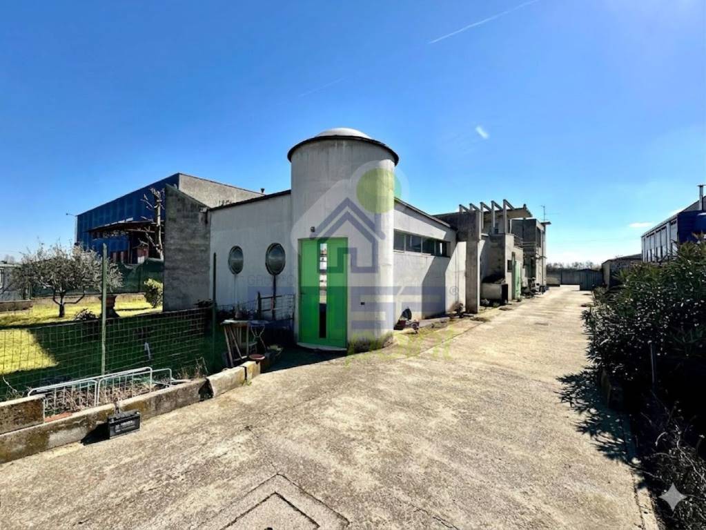 immagine annuncio 3 di 15