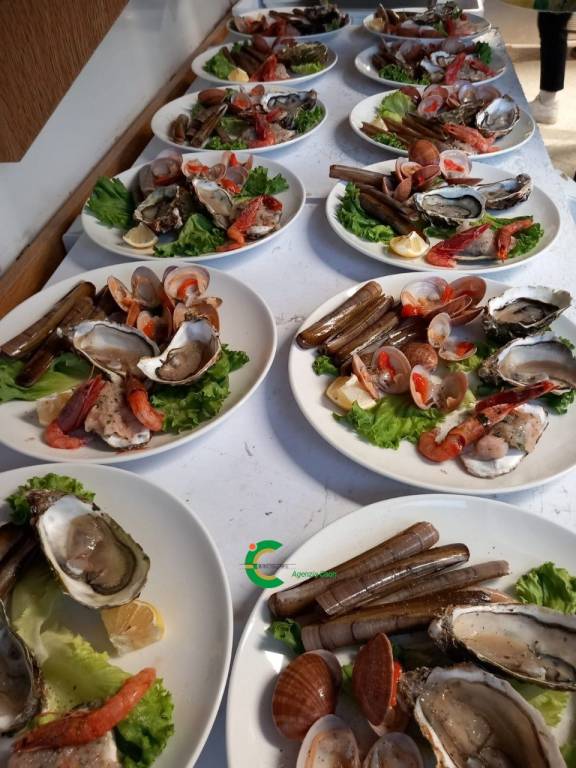 immagine annuncio 7 di 12