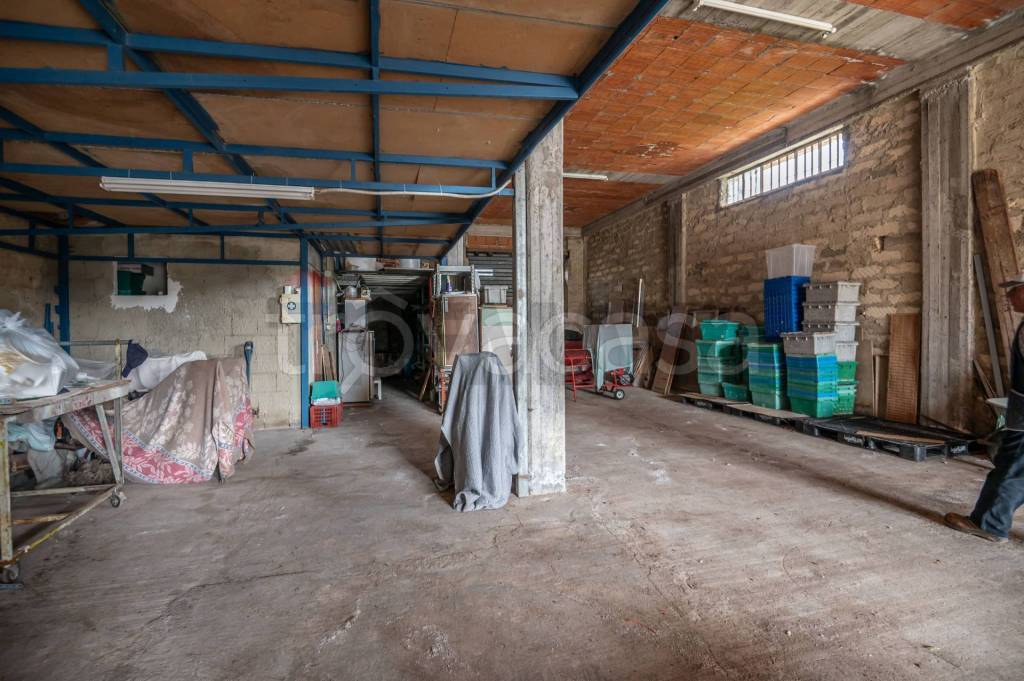 immagine annuncio 10 di 15