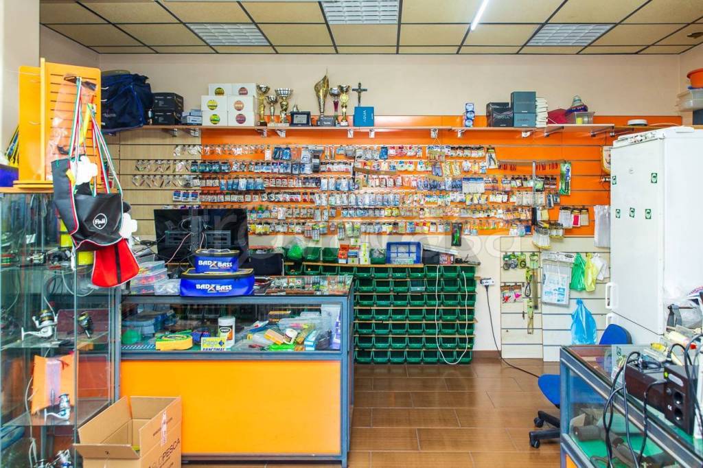 immagine annuncio 9 di 15