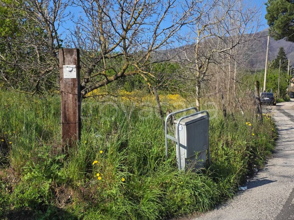 immagine annuncio 3 di 9