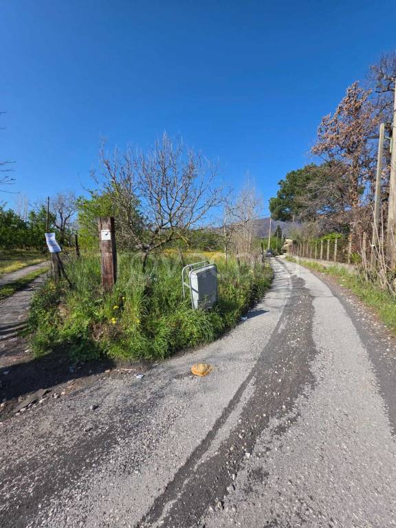 immagine annuncio 4 di 9