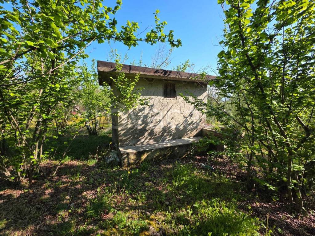 immagine annuncio 6 di 9