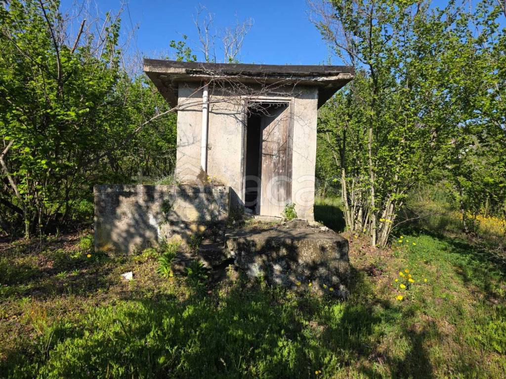 immagine annuncio 7 di 9