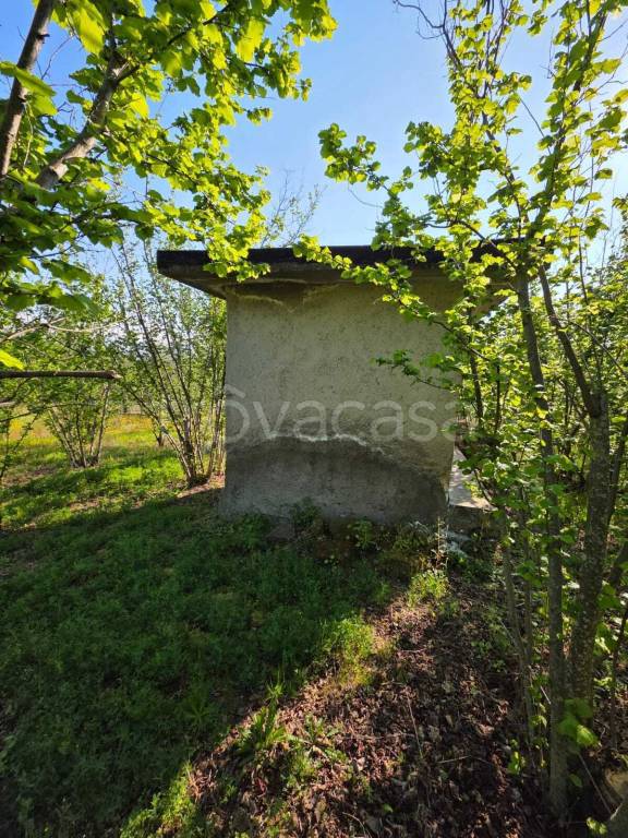 immagine annuncio 8 di 9