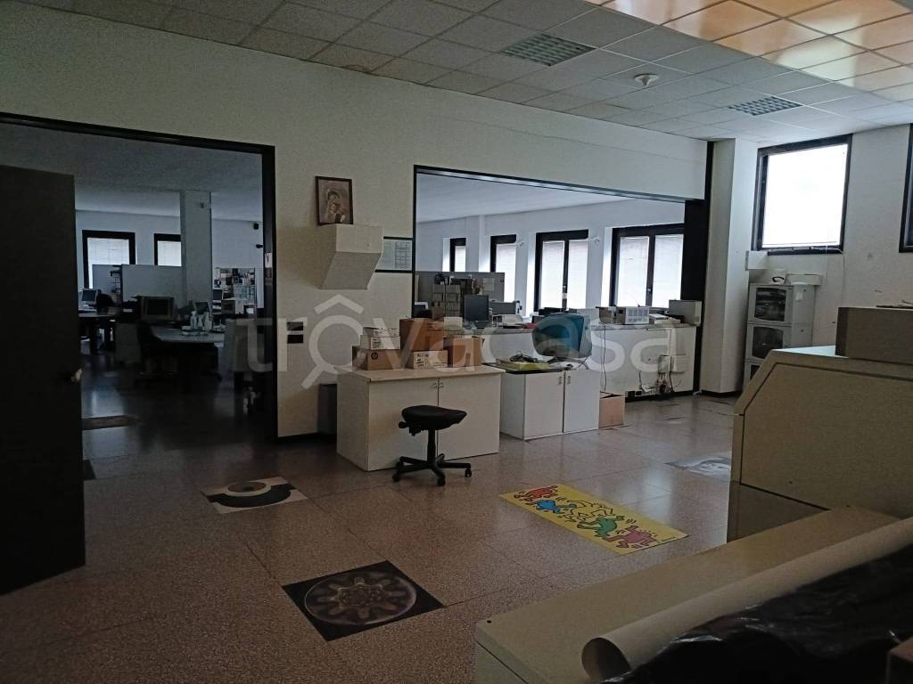 immagine annuncio 3 di 14