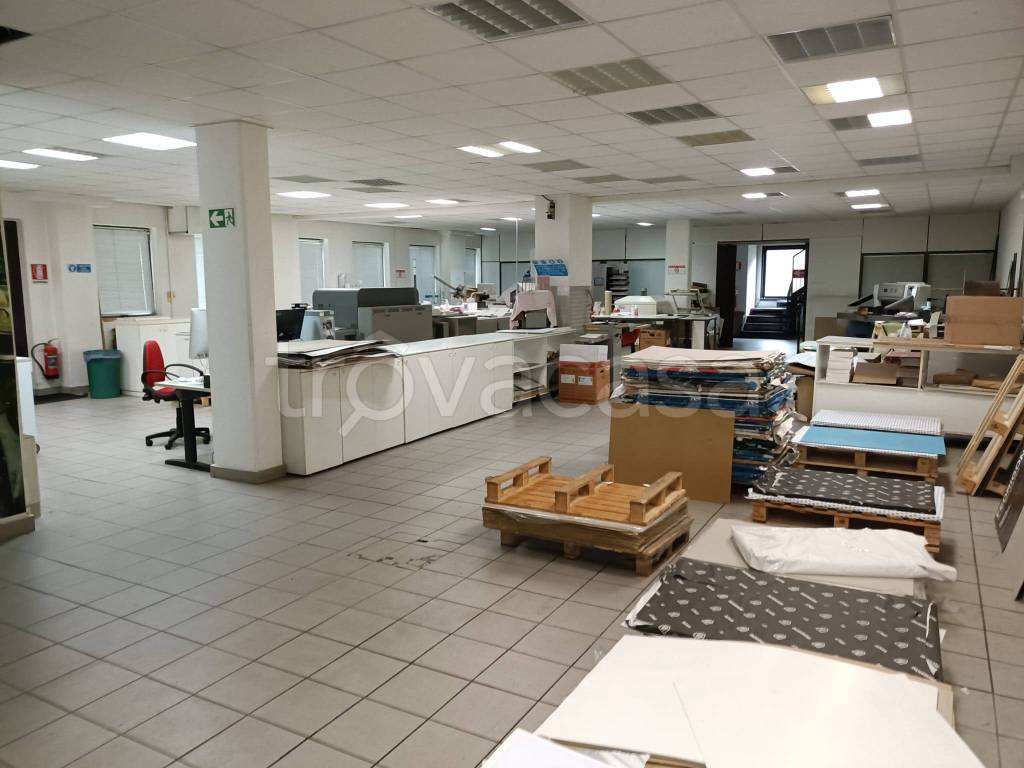 immagine annuncio 6 di 14