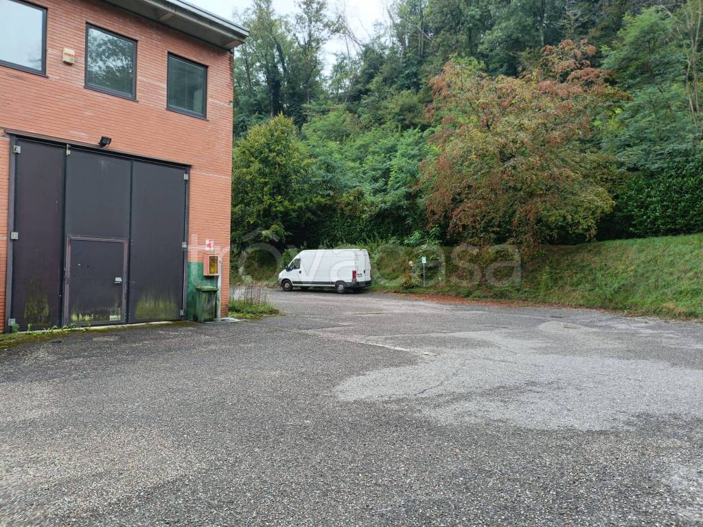 immagine annuncio 9 di 14