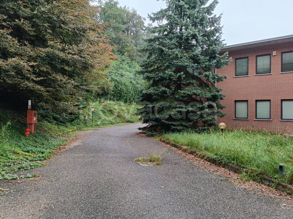 immagine annuncio 11 di 14