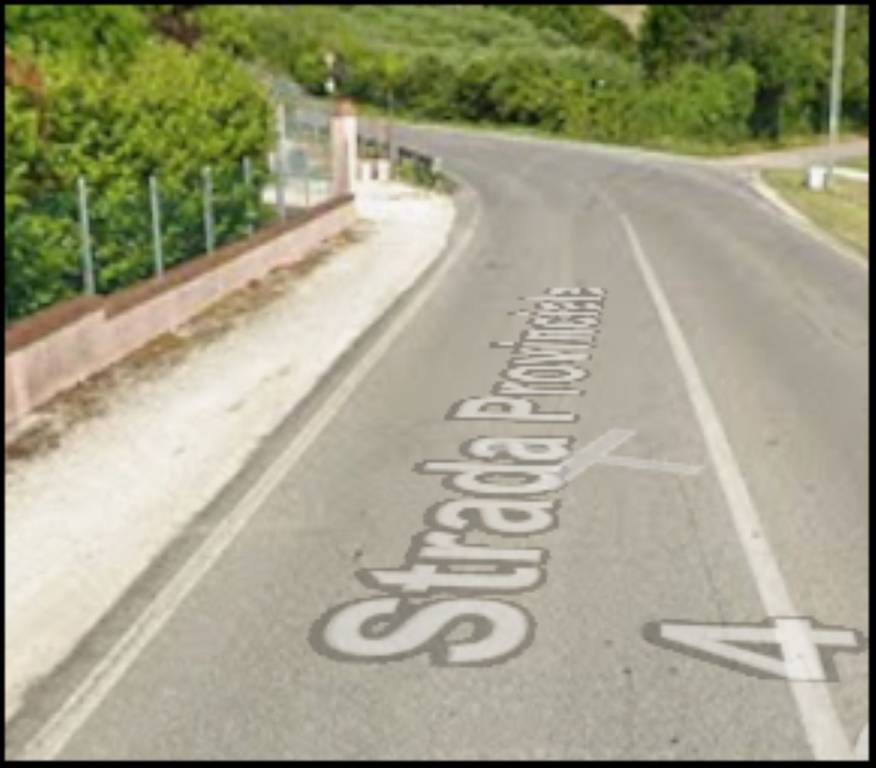 immagine annuncio 1 di 12