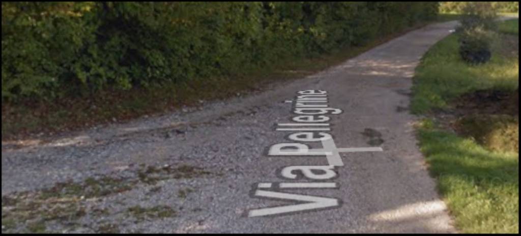 immagine annuncio 6 di 12