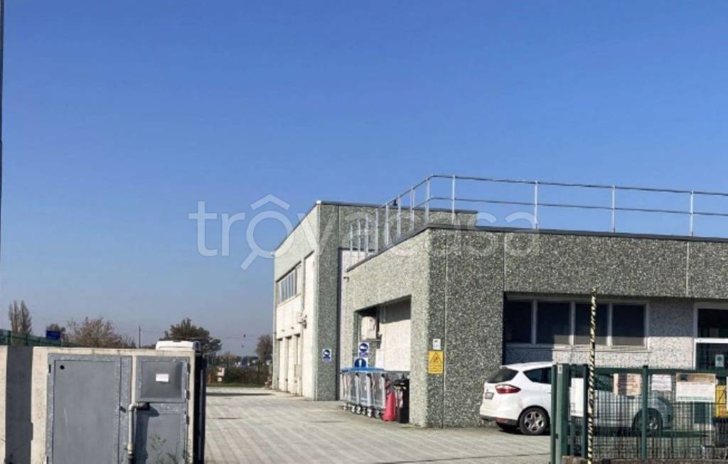 immagine annuncio 1 di 12