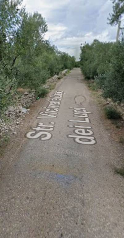 immagine annuncio 6 di 10