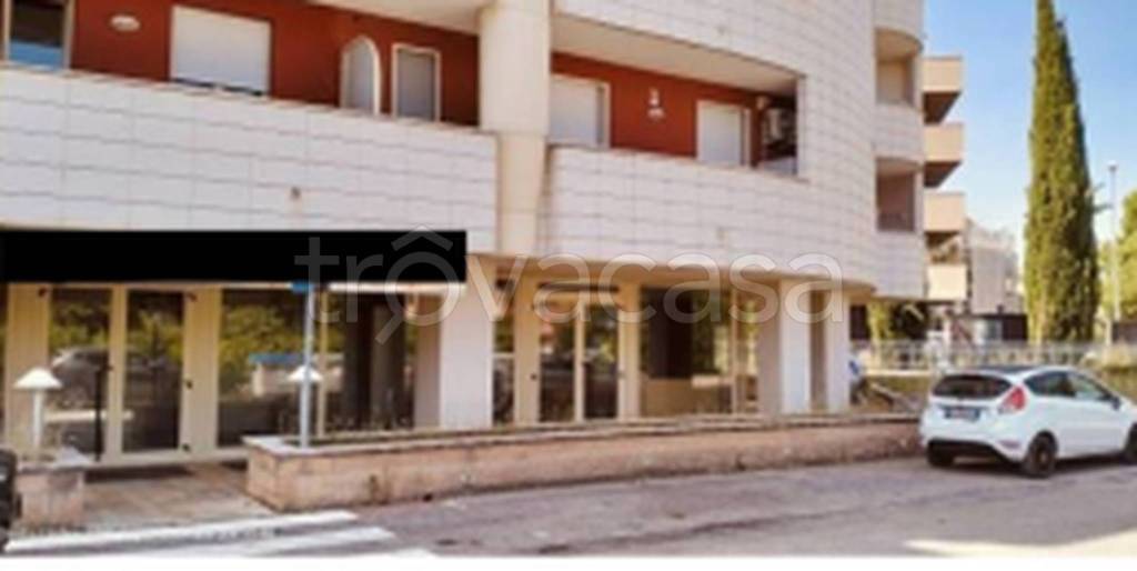 immagine annuncio 7 di 12