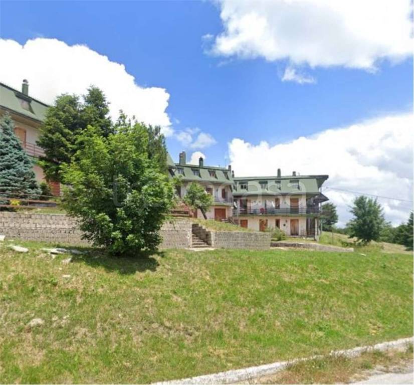 immagine annuncio 12 di 13