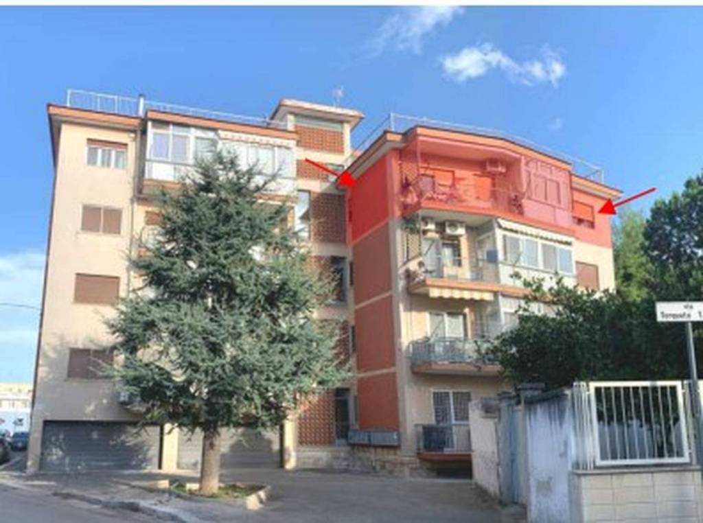 immagine annuncio 9 di 11