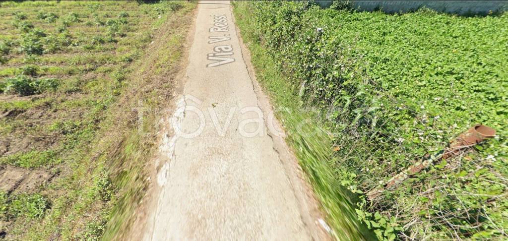 immagine annuncio 3 di 11