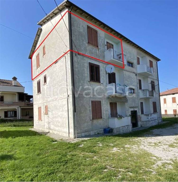 immagine annuncio 2 di 14