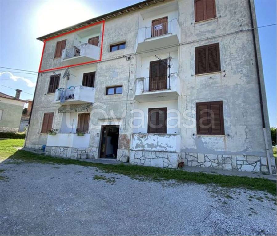 immagine annuncio 3 di 14