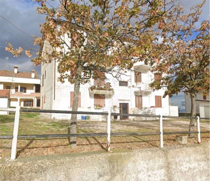 immagine annuncio 6 di 14