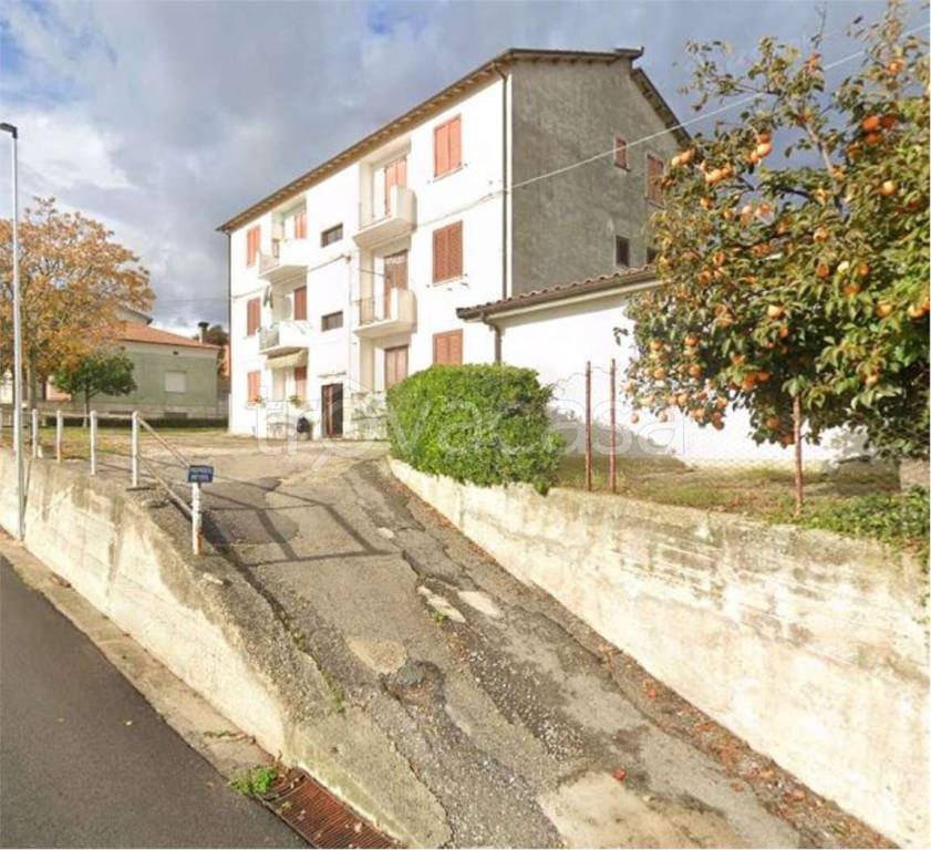 immagine annuncio 10 di 14