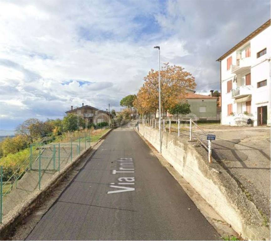 immagine annuncio 11 di 14