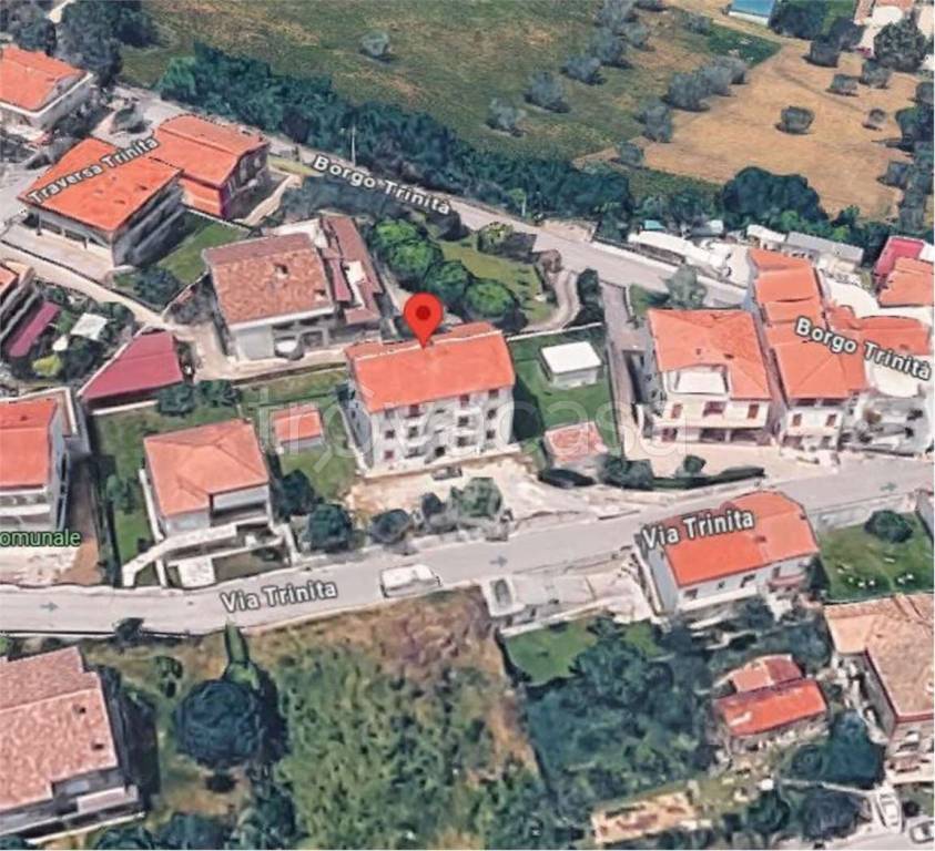 immagine annuncio 12 di 14