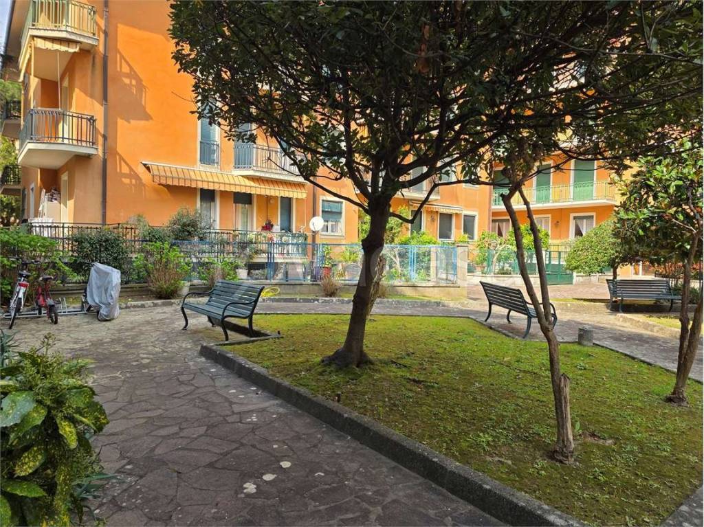 immagine annuncio 13 di 15