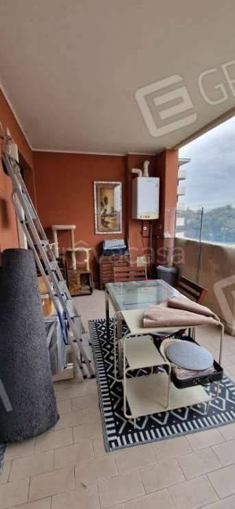 immagine annuncio 2 di 7