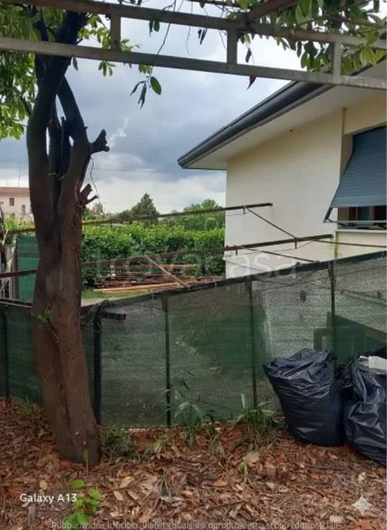 immagine annuncio 3 di 7