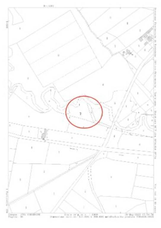 immagine annuncio 6 di 7