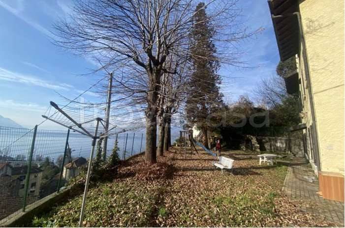 immagine annuncio 2 di 11