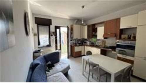 immagine annuncio 1 di 7