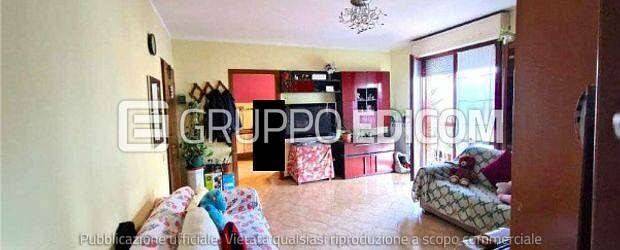 immagine annuncio 1 di 7