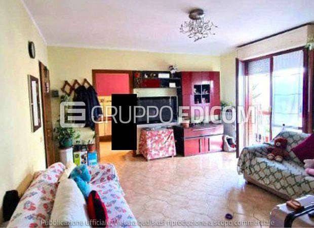 immagine annuncio 4 di 7