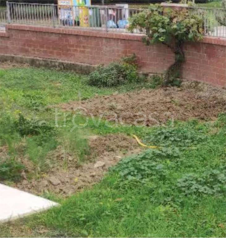 immagine annuncio 4 di 11