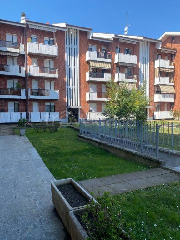 immagine annuncio 1 di 15