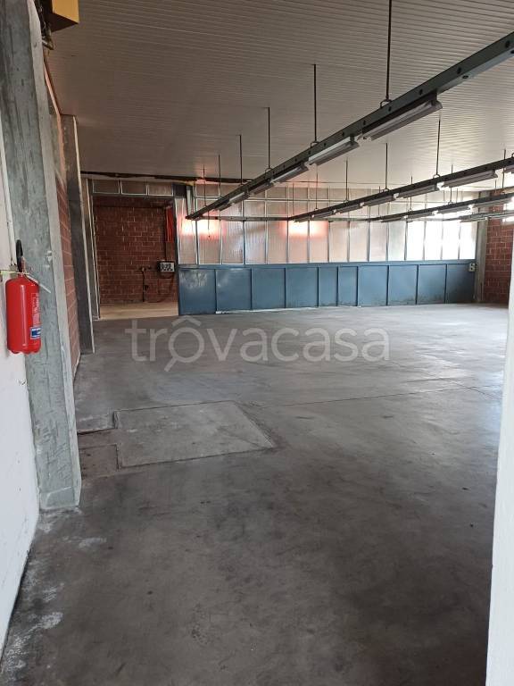 immagine annuncio 4 di 13