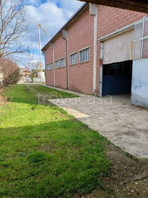 immagine annuncio 5 di 13