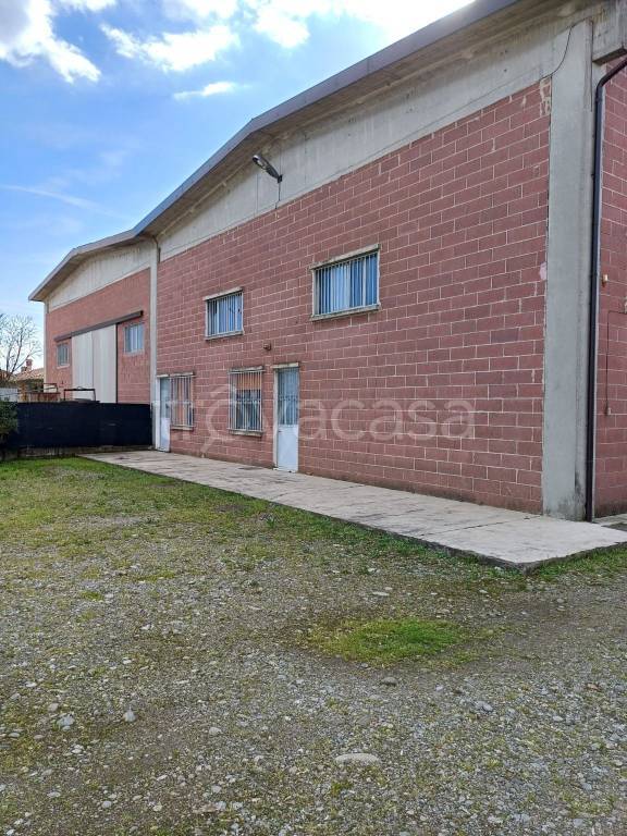 immagine annuncio 9 di 13