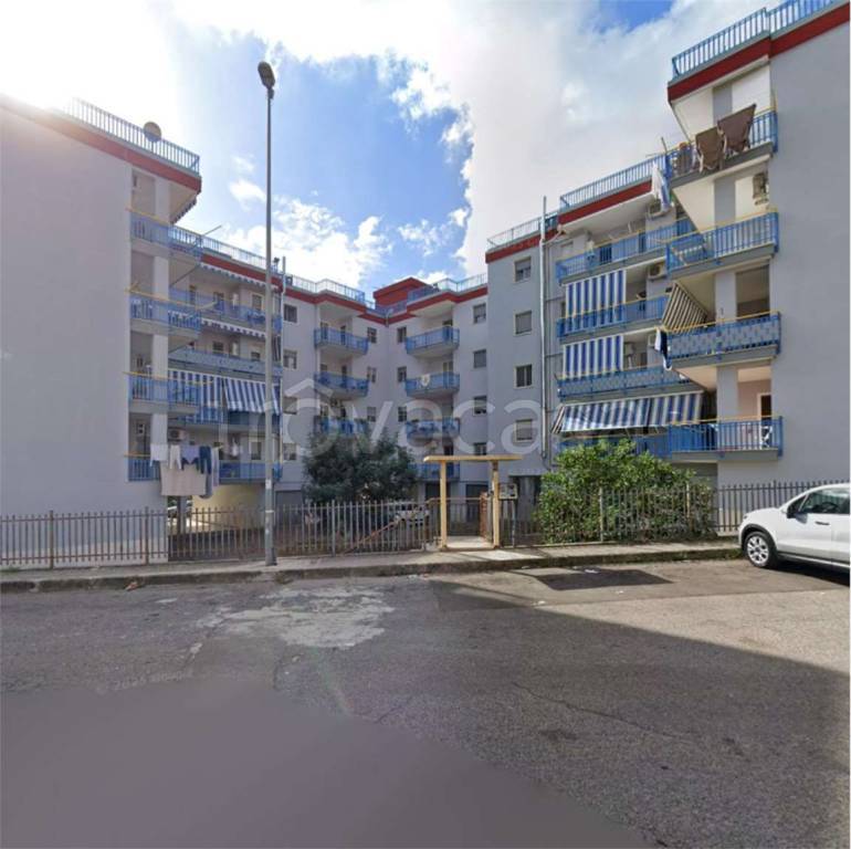 immagine annuncio 1 di 12