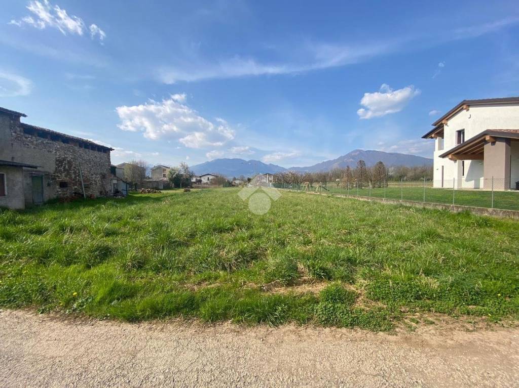 immagine annuncio 2 di 4