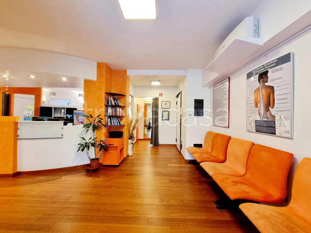 immagine annuncio 2 di 9