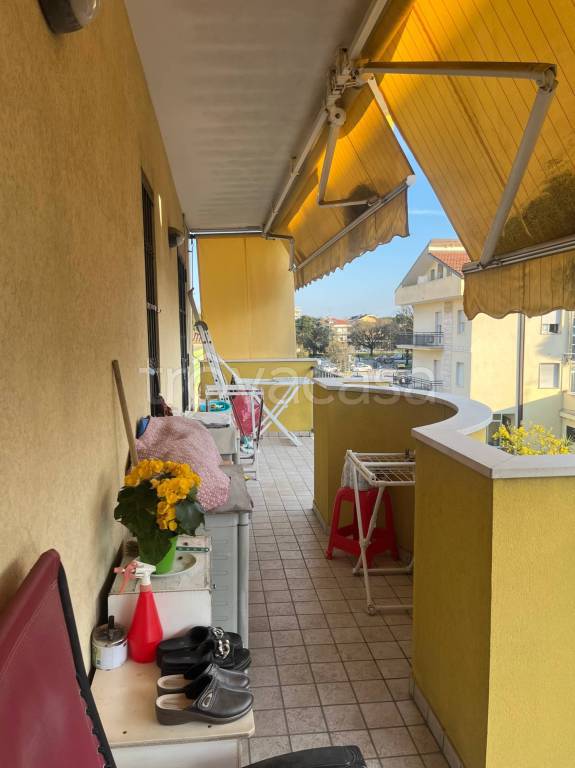 immagine annuncio 8 di 12