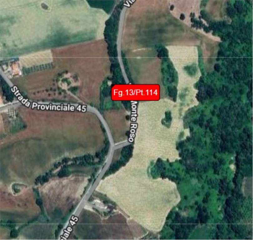 immagine annuncio 5 di 14