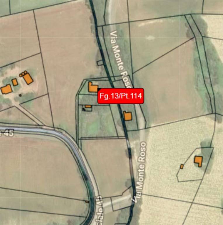 immagine annuncio 6 di 14