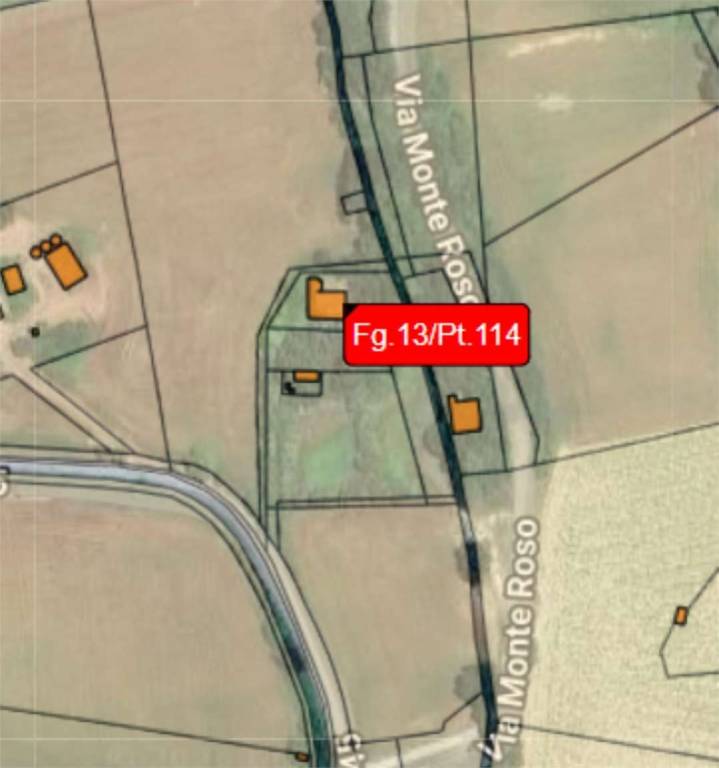 immagine annuncio 9 di 14