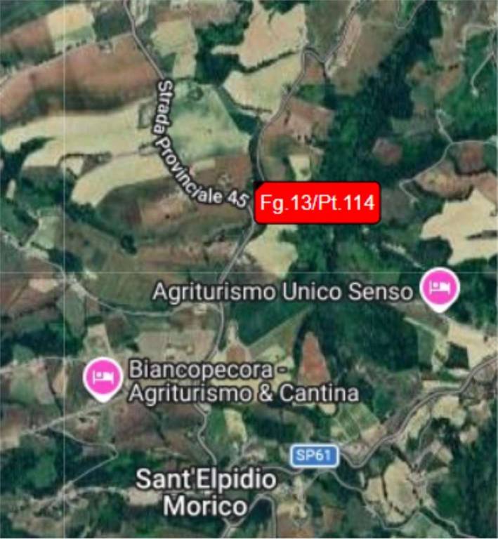 immagine annuncio 10 di 14